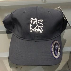 Merrill Lynch PGA golf hat - NWT - Ahead USA - Mid Fit